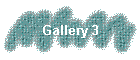 Gallery 3